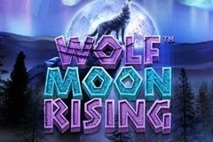 Wolf Moon Rising