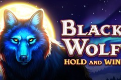 Black Wolf