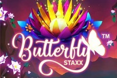 Butterfly Staxx