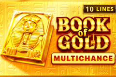 Book of Gold Multichance