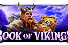 Book of Vikings